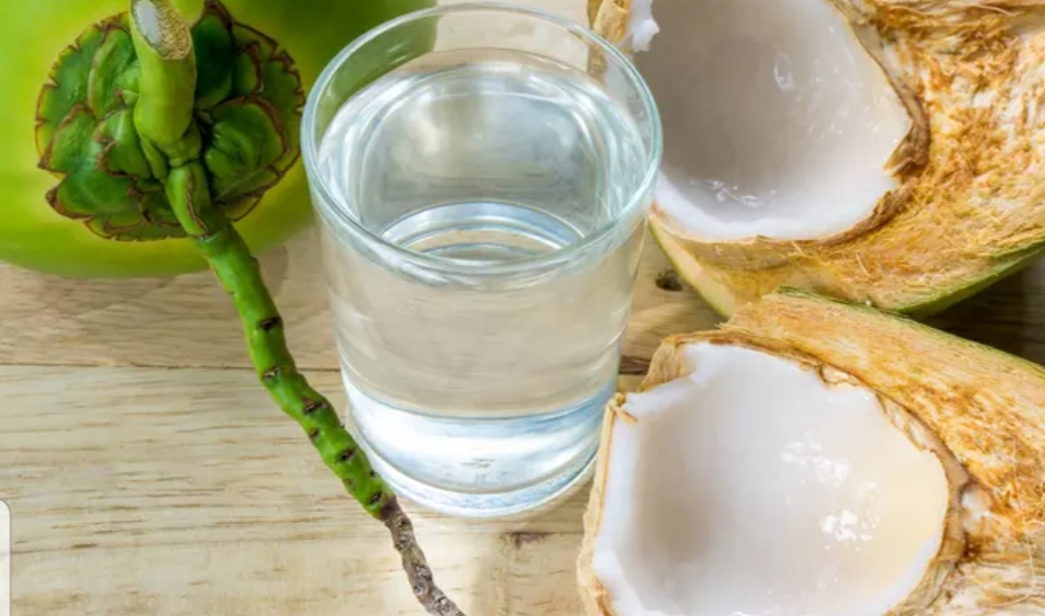 5 Manfaat Air Kelapa Hijau untuk Kesehatan Tubuh, Baik Dikonsumsi Saat Berbuka Puasa, Lihat Disini 