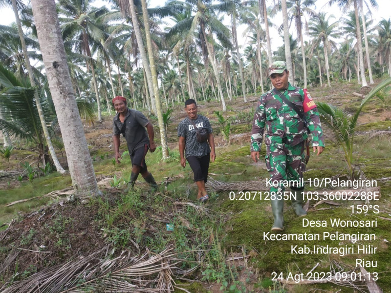 Semangat Kuat, Babinsa Koramil 10/Pelangiran Tetap Turun Lakukan Patroli Karlahut