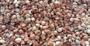 Minggu Ini Harga Pinang Kering di Riau Rp12.800 per Kg