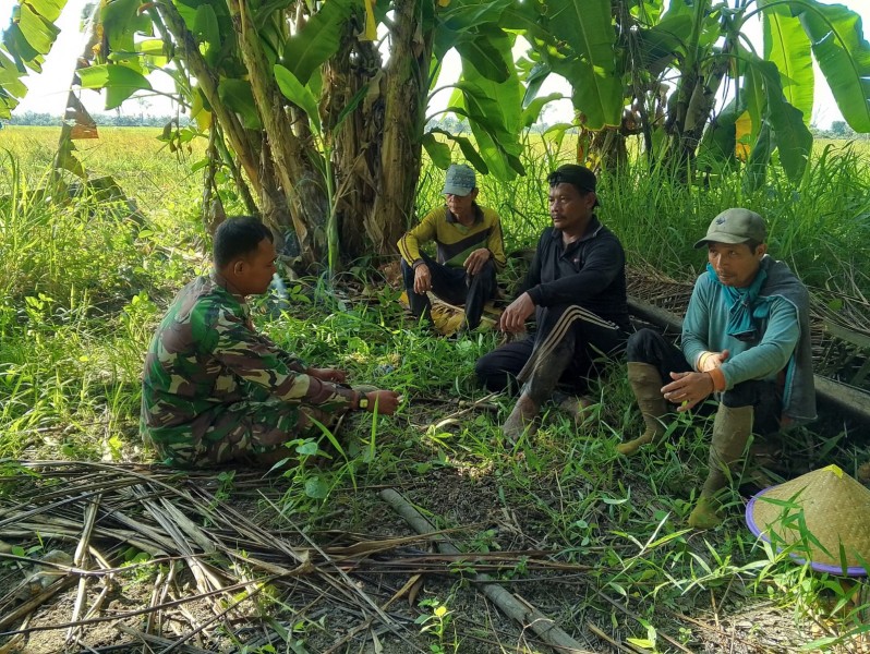 Babinsa Serda Suirwansah Ingatkan Petani tentang Bahaya Karhutla, Wujudkan Kesadaran dan Kewaspadaan di Desa Rumbai Jaya