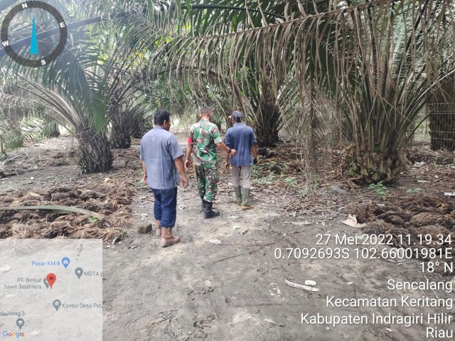 Babinsa Koramil 09/Kemuning Cegah Karhutla Guna Agar Tidak Membuka Lahan Sembarangan