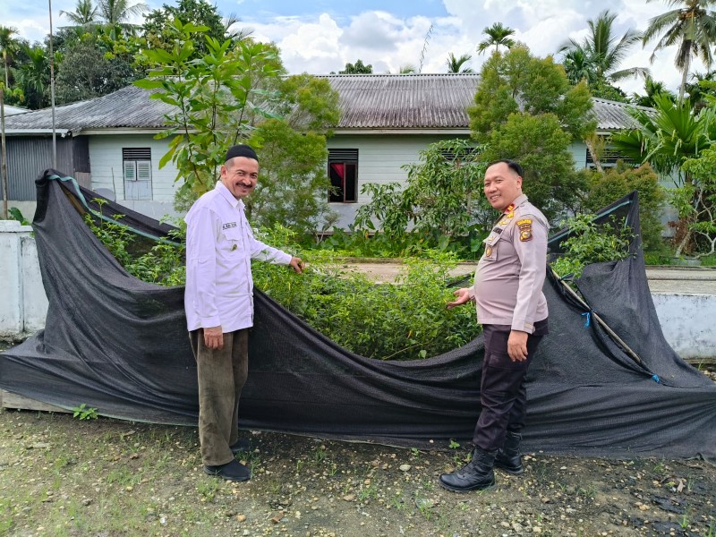 Kapolsek GAS dan Kades Teluk Pantaian Turun Lansung Cek Ketahanan Pangan Cabai Warga