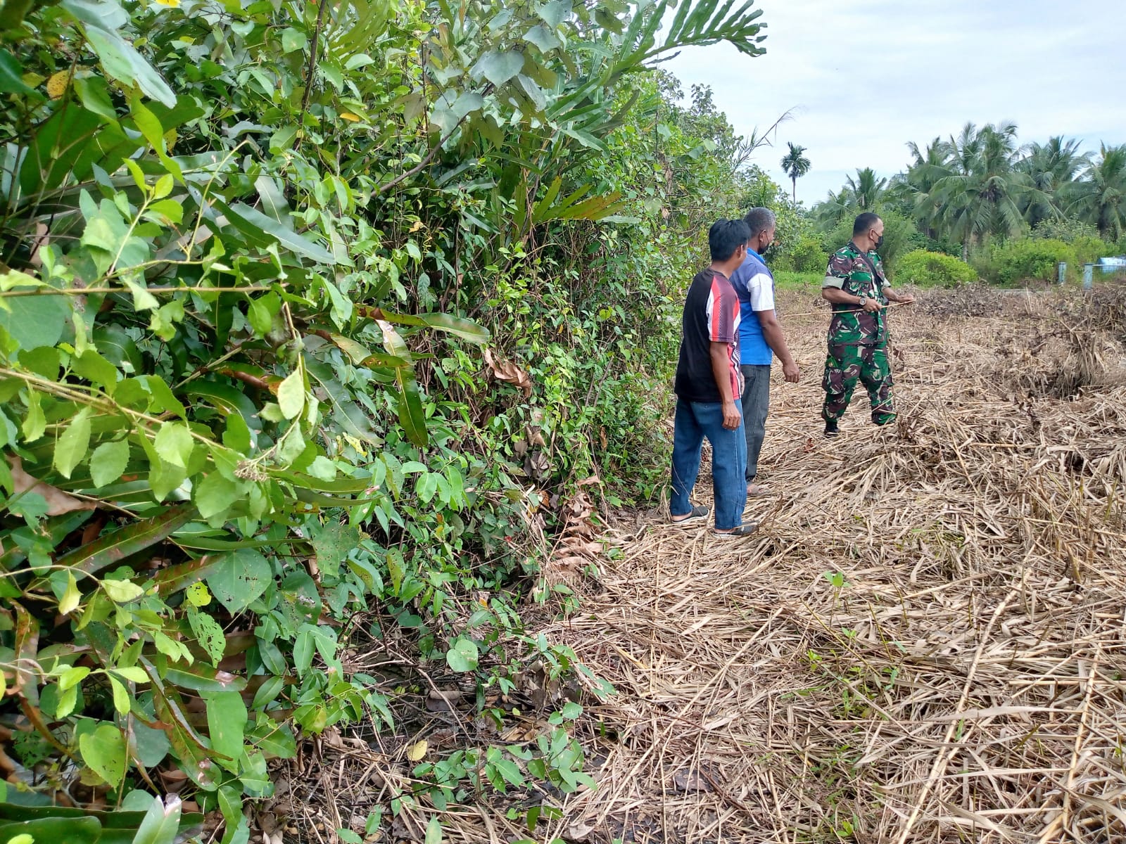 Tinjau Lahan Untuk Lakukan Patroli Karlahut Oleh Sertu K. Panjaitan