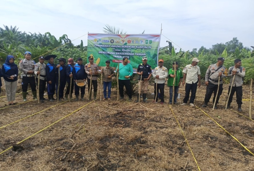 Kapolsek Enok Pimpin Penanaman Jagung Serentak Dukung Ketahanan Pangan Nasional