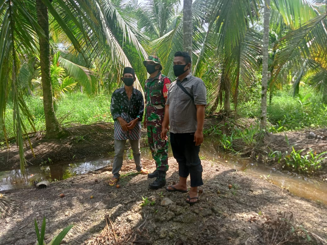 Babinsa Koramil 04/Kuindra Bersama Petani Kelapa Mensosialisasikan Pencegahan Kebakaran