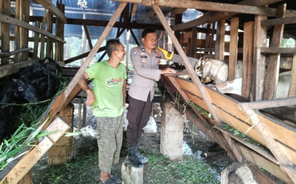 Sambang Peternakan Kambing, Polsek Kelayang Perkuat Ketahanan Pangan Nasional