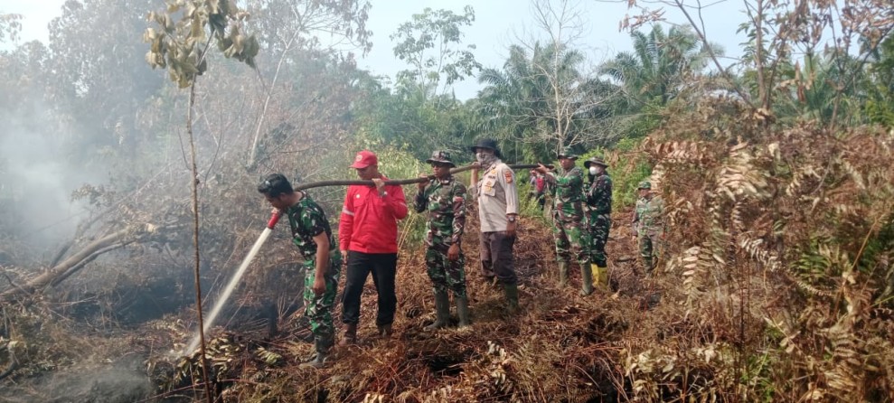 Tim Gabungan Koramil 03/Tempuling Berhasil Padamkan Titik Api di Desa Bayas Jaya, Upaya Menyelamatkan Lahan dan Lingkungan