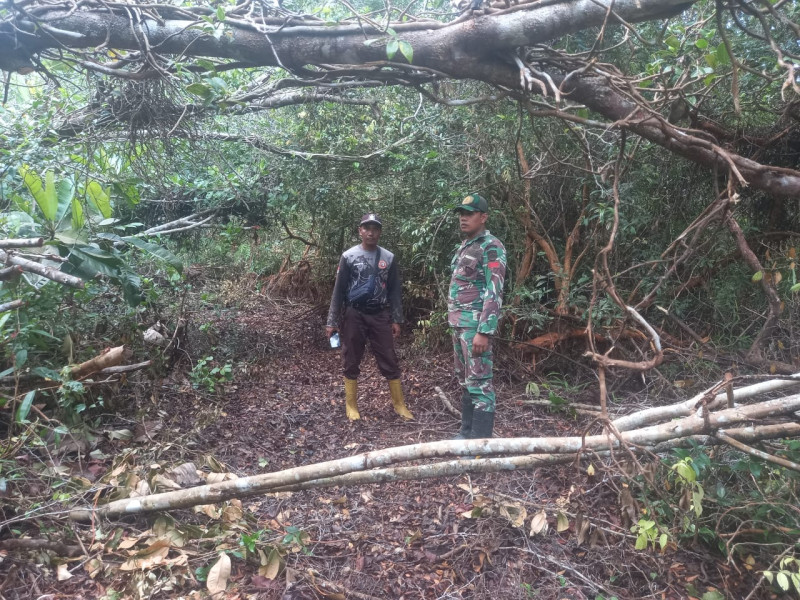 Babinsa 05/Gas Pratu Sandi Wahyudi Gencar Patroli Karlahut Di Desa Binaan