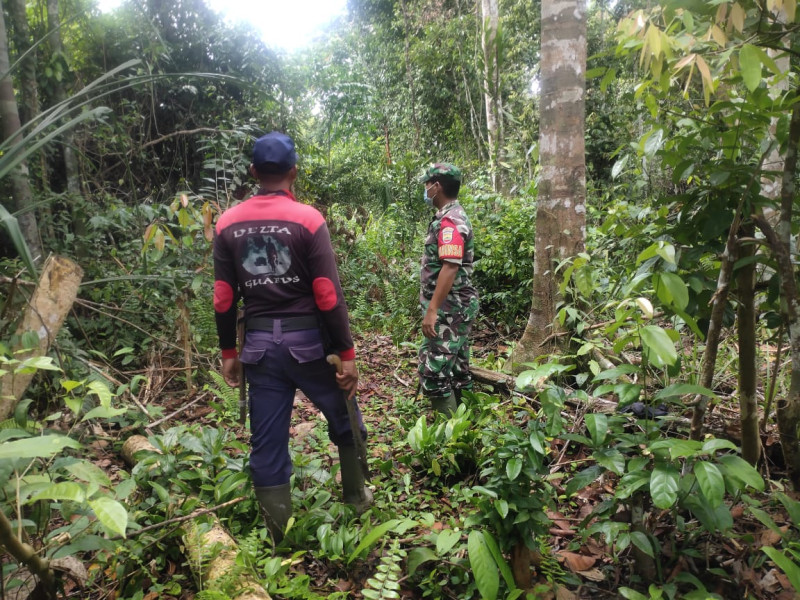 Babinsa Koramil 05/Gas Kopda Chandra Manto Talihora Patroli Rutin Lakukan Sosialisasi Karhutla di Binaan