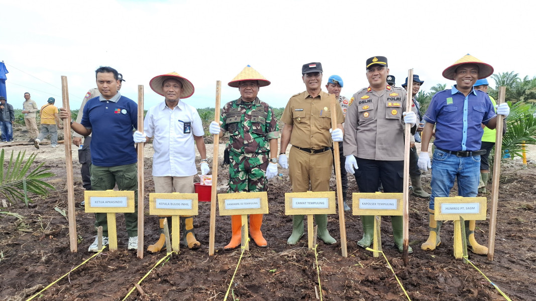 Danramil 03/Tpl Hadiri Giat Penanaman 1 Juta Hektar Jagung Guna Mendukung Swasembada Pangan