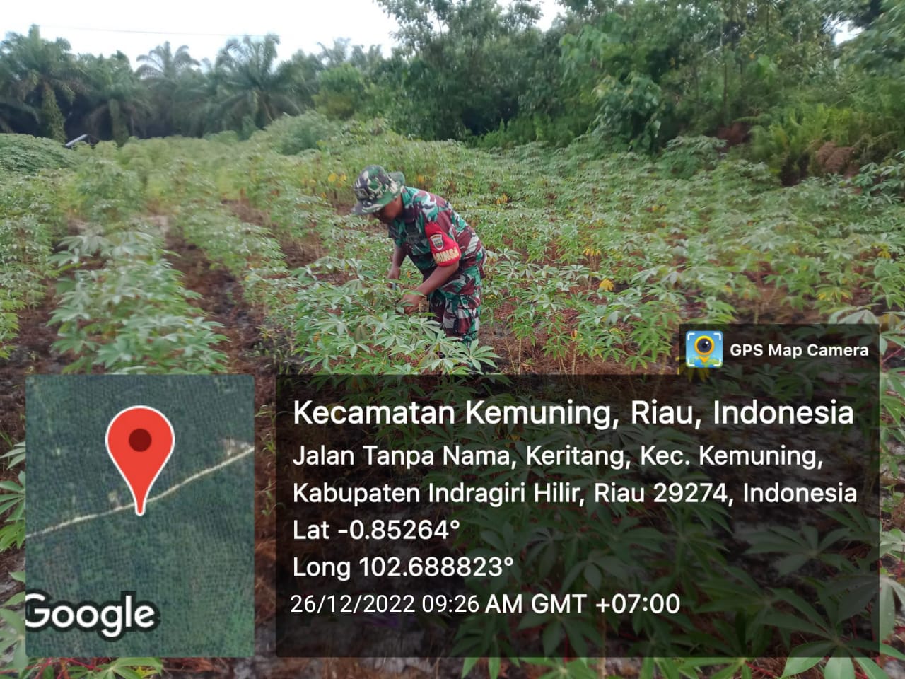 Giat Ketahanan Pangan Bersama Babinsa Koramil 09/Kemuning di Binaan