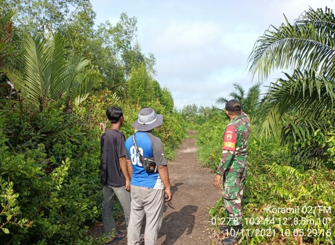 Patroli Karhutla di Rantau Panjang Rutin Dilakukan Babinsa Koramil 02/Tanah Merah