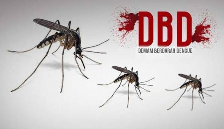 Tetap Waspada, Kematian akibat Kasus Demam Berdarah di Riau Bertambah Lagi Tetap Waspada, Kematian akibat Kasus Demam Berdarah di Riau Bertambah Lagi