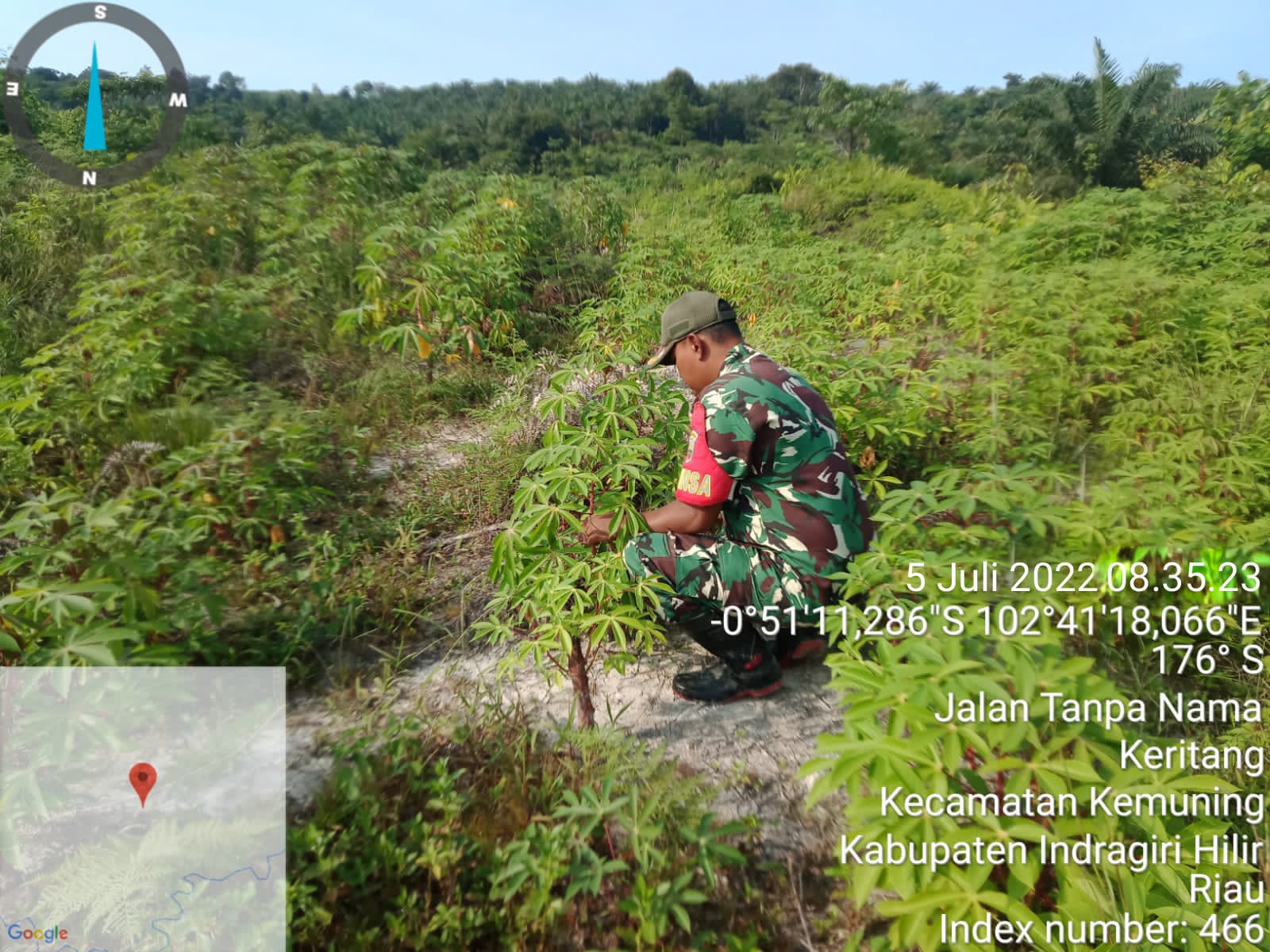 Upaya Cepat Pertumbuhan Gulma Yang Dilakukan Oleh  Serka M. Ridwan