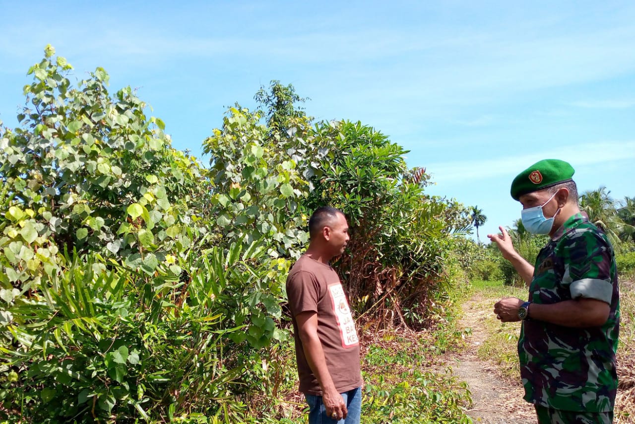Cegah Karhutla Oleh Babinsa Koramil 04/Kuindra di Paret 3 Kelurahan