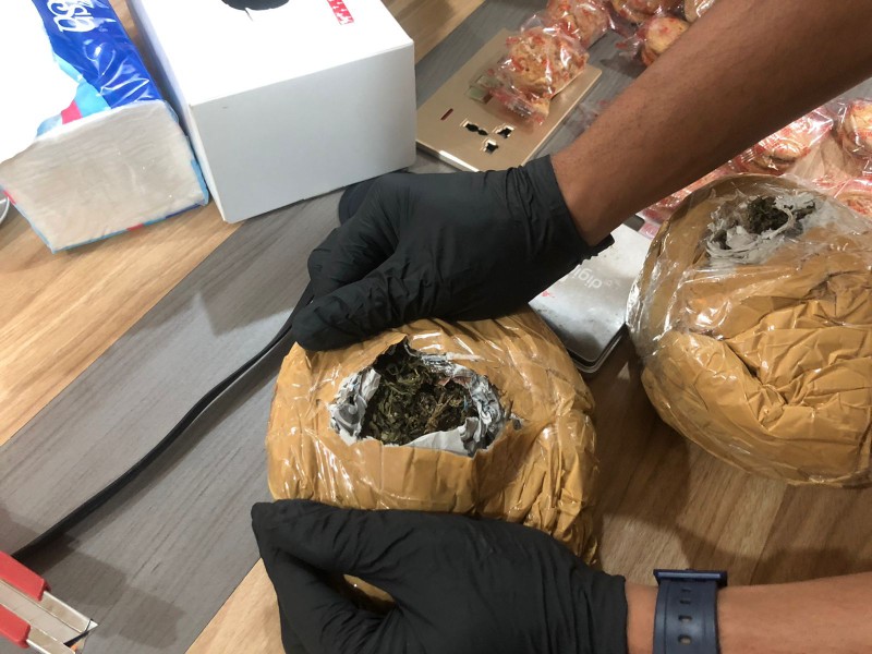Tim Cyber Crawling Bea Cukai Batam Gagalkan Penyeludupan 765 Gram Ganja