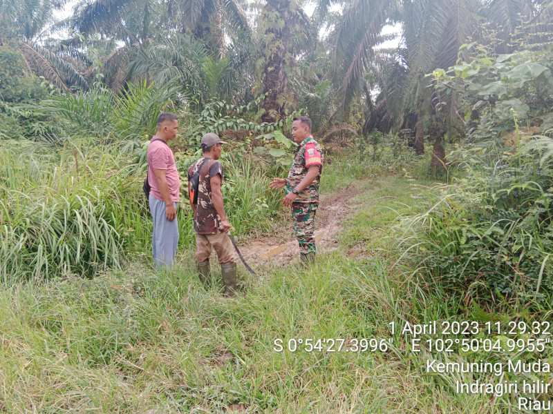 Pencegahan Karhutla Bersama Babinsa Koramil 09/Kemuning