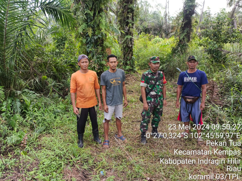 Upaya Cegah Karlahut, Babinsa 03/Tpl Terus Gencar Lakukan Patroli dan Sosialisasi Bersama Warga