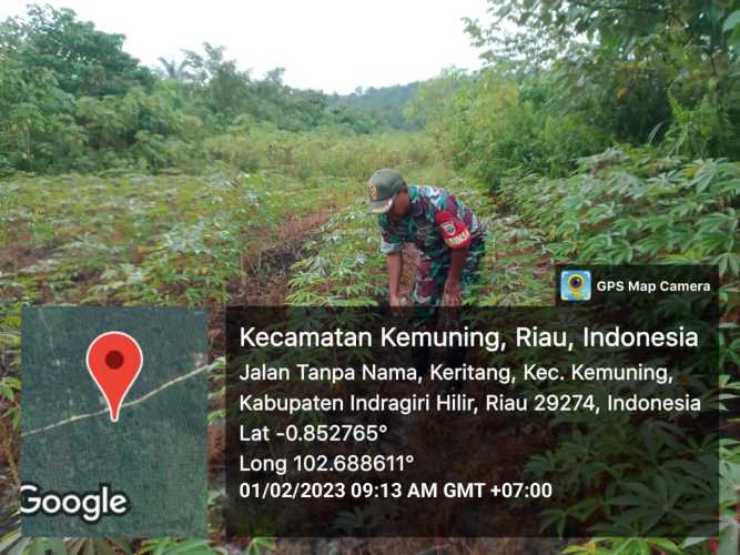 Babinsa Koramil 09/Kemuning Terus Jaga Ketahanan Pangan