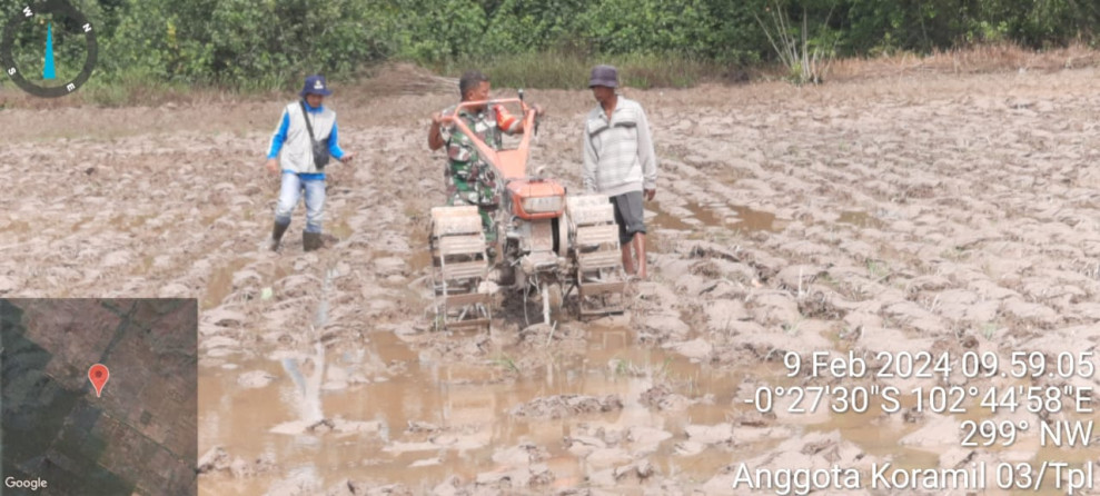 Babinsa 03/Tpl Bantu Petani Giat Lakukan Pengolahan Sawah