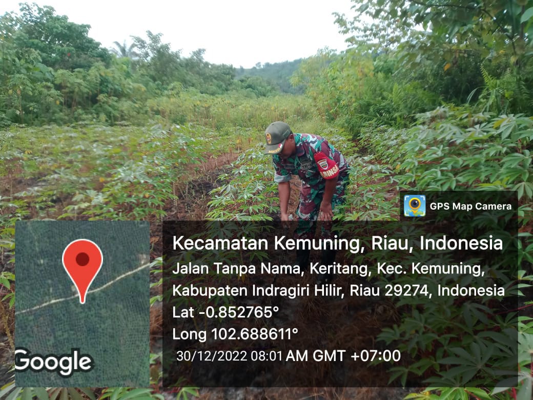 Cuaca Kurang Mendukung, Koramil 09/Kemuning Tetap Jaga Gulma