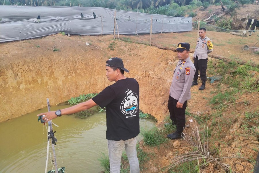 Dukung Ketahanan Pangan Nasional, Kapolsek Batang Cenaku Kunjungi Peternak Ikan Nila