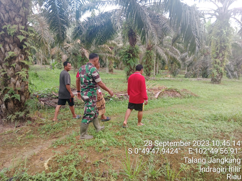Pencegahan Karhutla Terus Dilakukan Babinsa Koramil 09/Kemuning Guna Kenyamanan Lingkungan