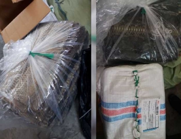 31,3 Kilogram Kulit Hewan Ditemukan di Bandara SSK II Pekanbaru Pada Paket Ditulis Berisi Kain