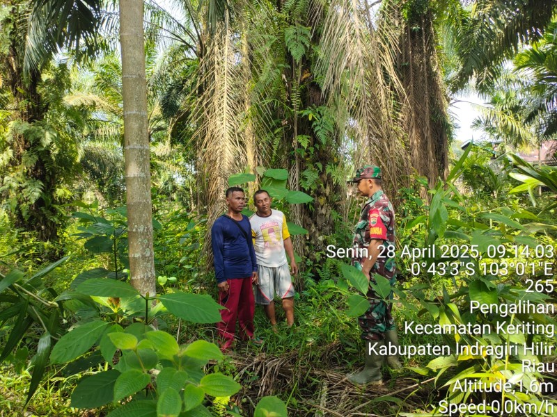 Saling Bersinergi Babinsa Koramil 09/Kemuning dan Masyarakat: Kunci Sukses Pencegahan Karhutla