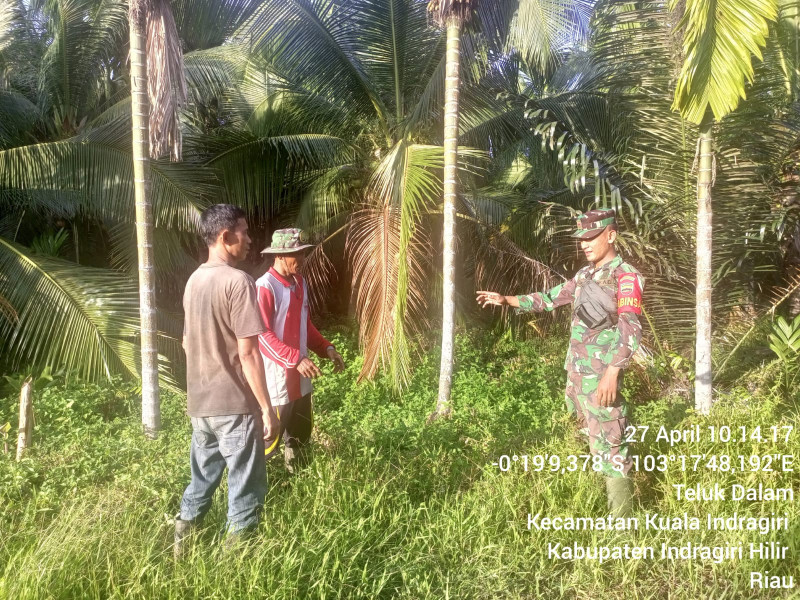 Babinsa Koramil 04/Kuindra Cegah Karhutla Dengan Lakukan Patroli dan Sosialisasi
