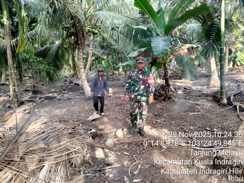 Wujudkan Keamanan di Wilayah, Babinsa Serda Ali B. Harahap Laksanakan Patroli Tapal Batas