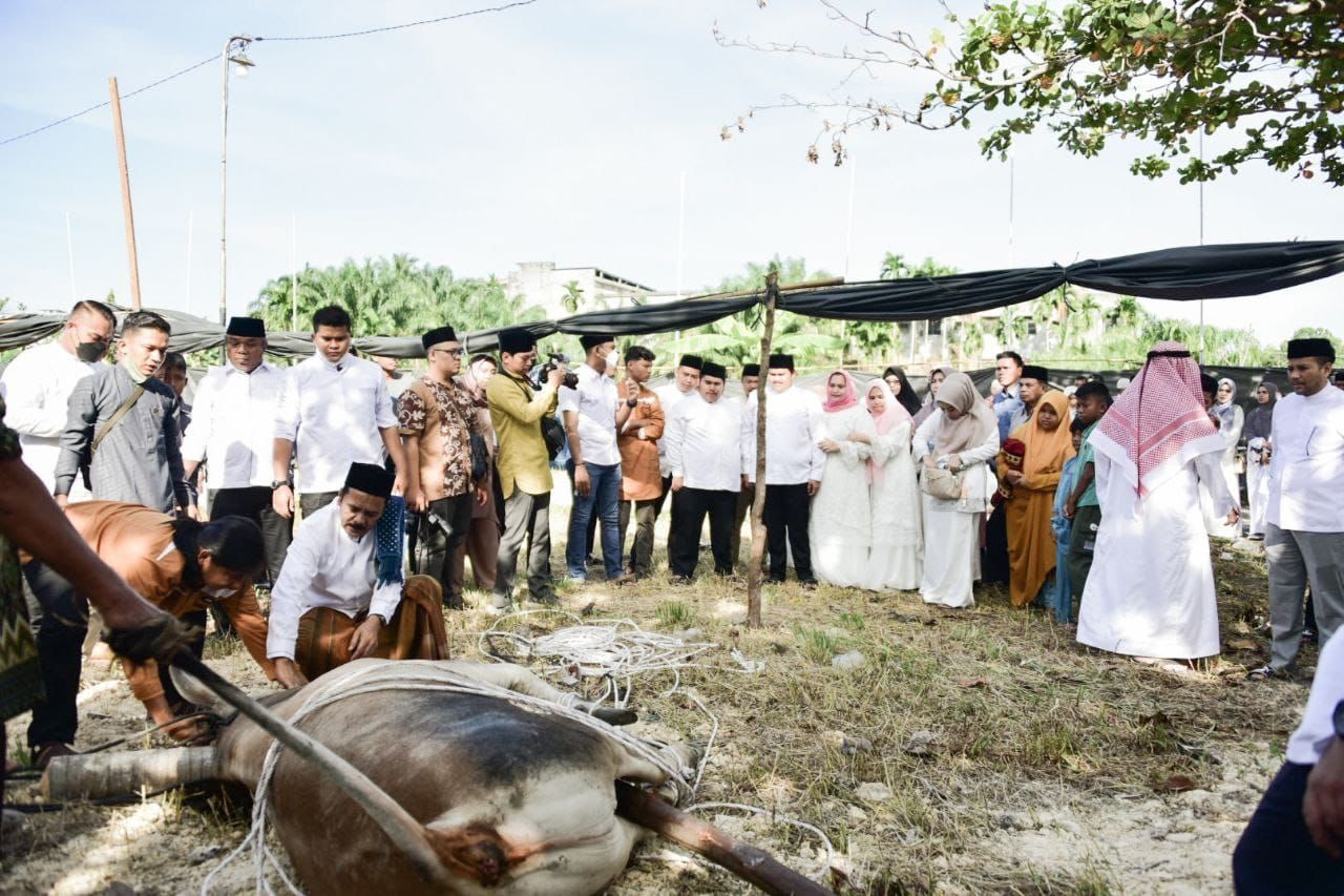 Bupati Bengkalis Menyaksikan Penyembelihan Hewan Qurban