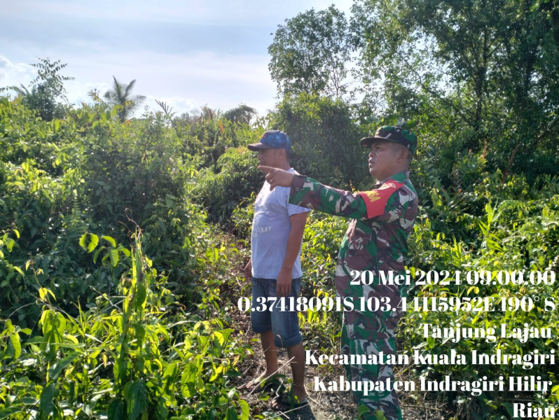 Babinsa Desa Tanjung Lajau Gencarkan Patroli Karlahut