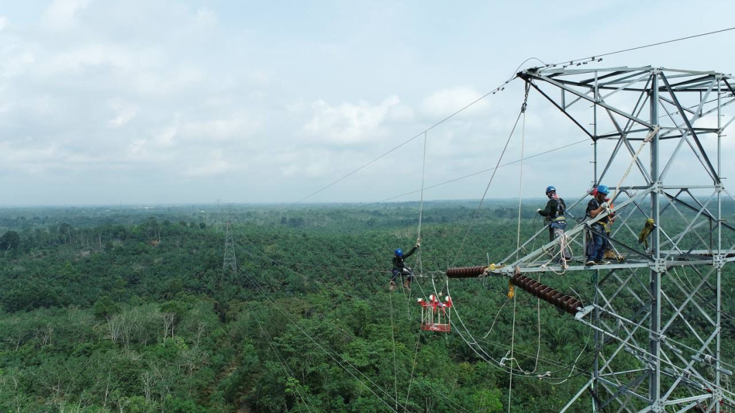 Tingkatkan Keandalan, PLN Lakukan Pemeliharaan Jaringan Transmisi Rengat-Teluk Kuantan
