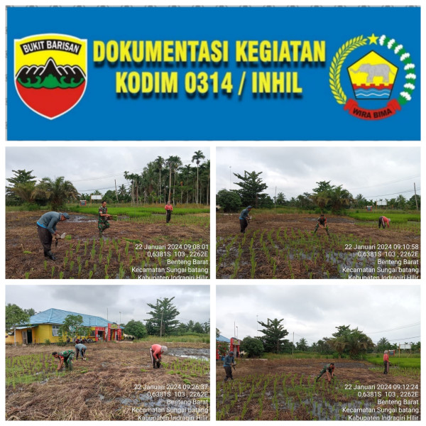 Jalankan Komsos, Babinsa Koramil 07/Reteh Laksanakan Ketahanan Pangan di Kecamatan Sungai Batang