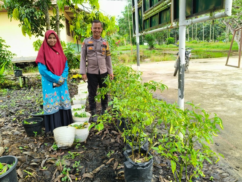Sinergi Bersama Polsek Gas, Kebun SMU IT Teluk Sungka Jadi Contoh Pemanfaatan Lahan untuk Ketahanan Pangan