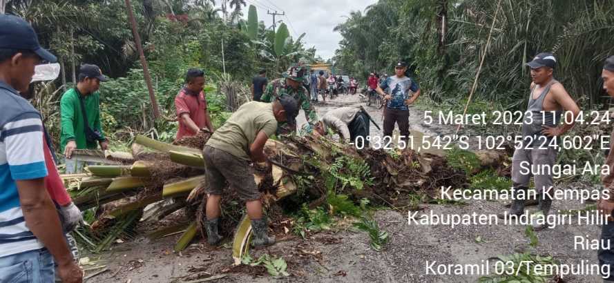 Demi Keselamatan Warga, Babinsa 03/Tpl Turut Tebang Pohon
