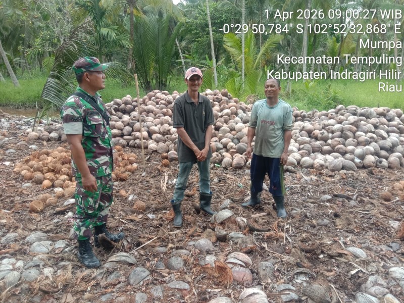 Babinsa Koramil 03/Tpl Patroli Tapal Batas Desa Mumpa, Pastikan Nihil Titik Api dan Asap