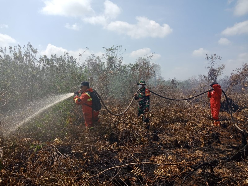 Babinsa Koramil 03/Tempuling, TNI, dan Tim Gabungan Berhasil Padamkan Karhutla di Wilayah Kempas