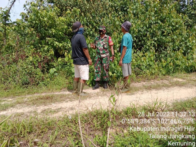 Babinsa Koramil 09/Kemuning Cegah Lahan dan Hutan di Wilayah Desa Talang Jangkang