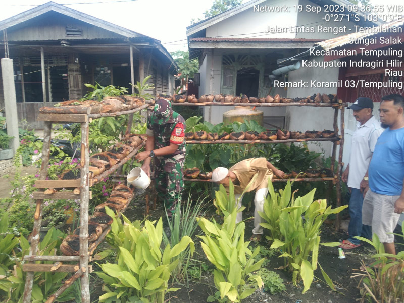 Babinsa Bersama Warga Kampung Pancasila Lakukan Perawatan Tanaman Obat Keluarga