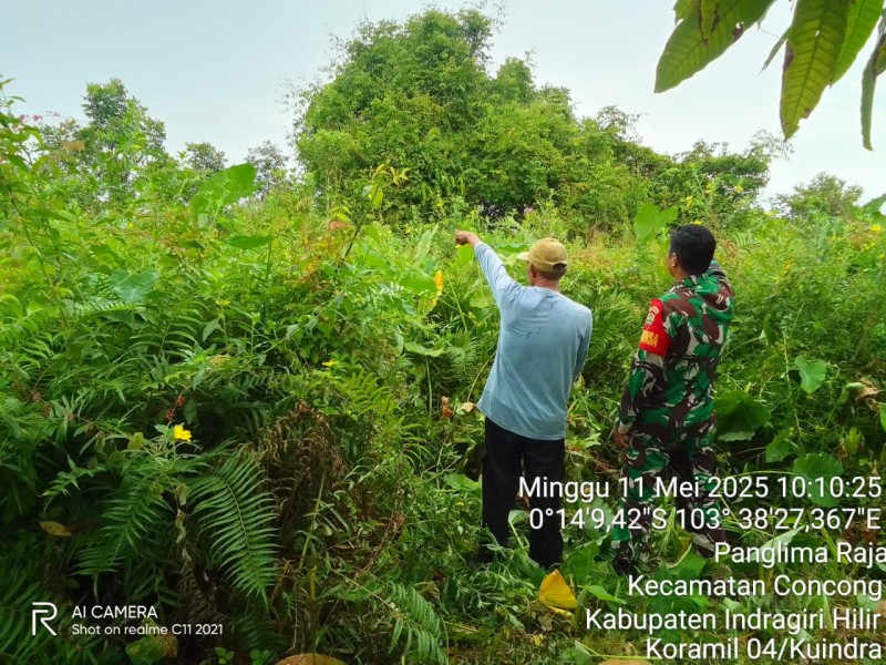 Patroli dan Sosialisasi Karhutla: Babinsa Koramil 04/Kuindra Terus Berupaya Mencegah Karhutla di Wilayah Binaan