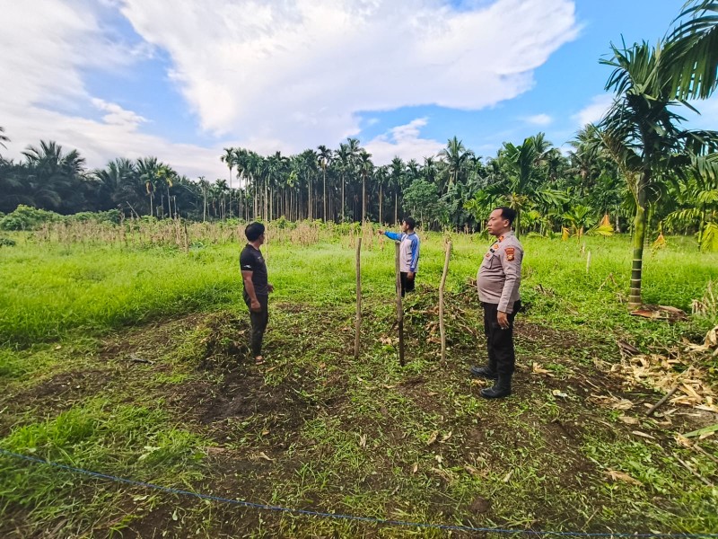 Di Bawah Langit Teluk Sungka: Kapolsek GAS Turun Ke Ladang, Menanam Harapan Bersama Petani