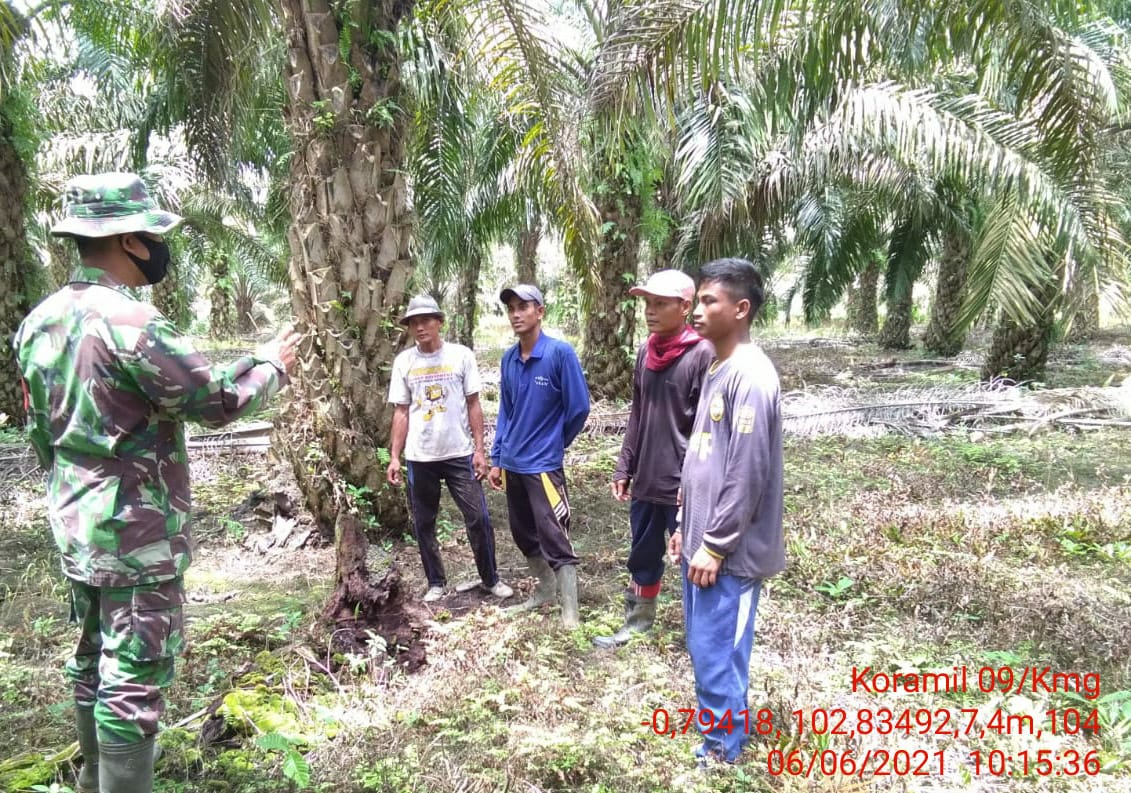 Cegah Karhutla, Babinsa 09/Kemuning Rutin Lakukan Patroli Karhutla di Wilayah Binaan