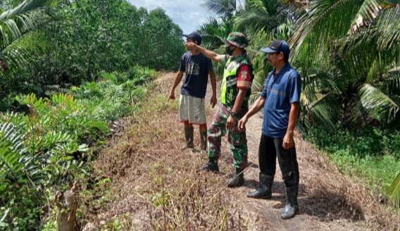 Rutin Lakukan Sosialisasi dan Patroli Karhutla Oleh Babinsa Koramil 04/Kuindra di Kelurahan Sapat