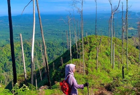 Pengen Liburan Sambil Adventurer Bukit Condong di Kemuning Bisa Jadi Rekomendasi Liburan mu