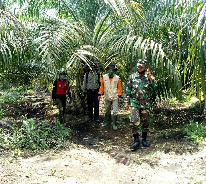 Babinsa, Babinkamtibmas dan Manggal Agni Laksanakan Potroli dan Sosialisasi Karhutla Babinsa, Babinkamtibmas dan Manggal Agni Laksanakan Potroli dan Sosialisasi Karhutla
