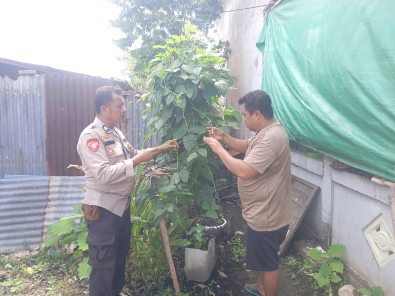 Aiptu Benny Codiyat Motivasi Warga Enok Tanam Sayur, Kunyit, dan Serai di Pekarangan untuk Ketahanan Pangan