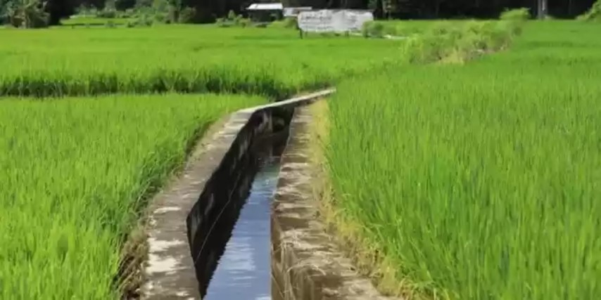 Kementan Genjot Serapan KUR dan Penggunaan Teknologi Pertanian di Daerah