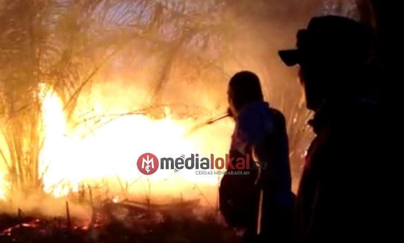 Karhutla di Desa Sialang Inhil, Api Mulai Mendekati Pemukiman Warga